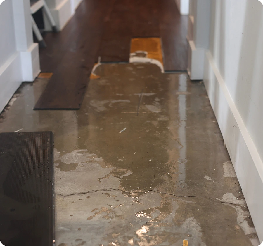 Plumbing Issues Common in The Woodlands